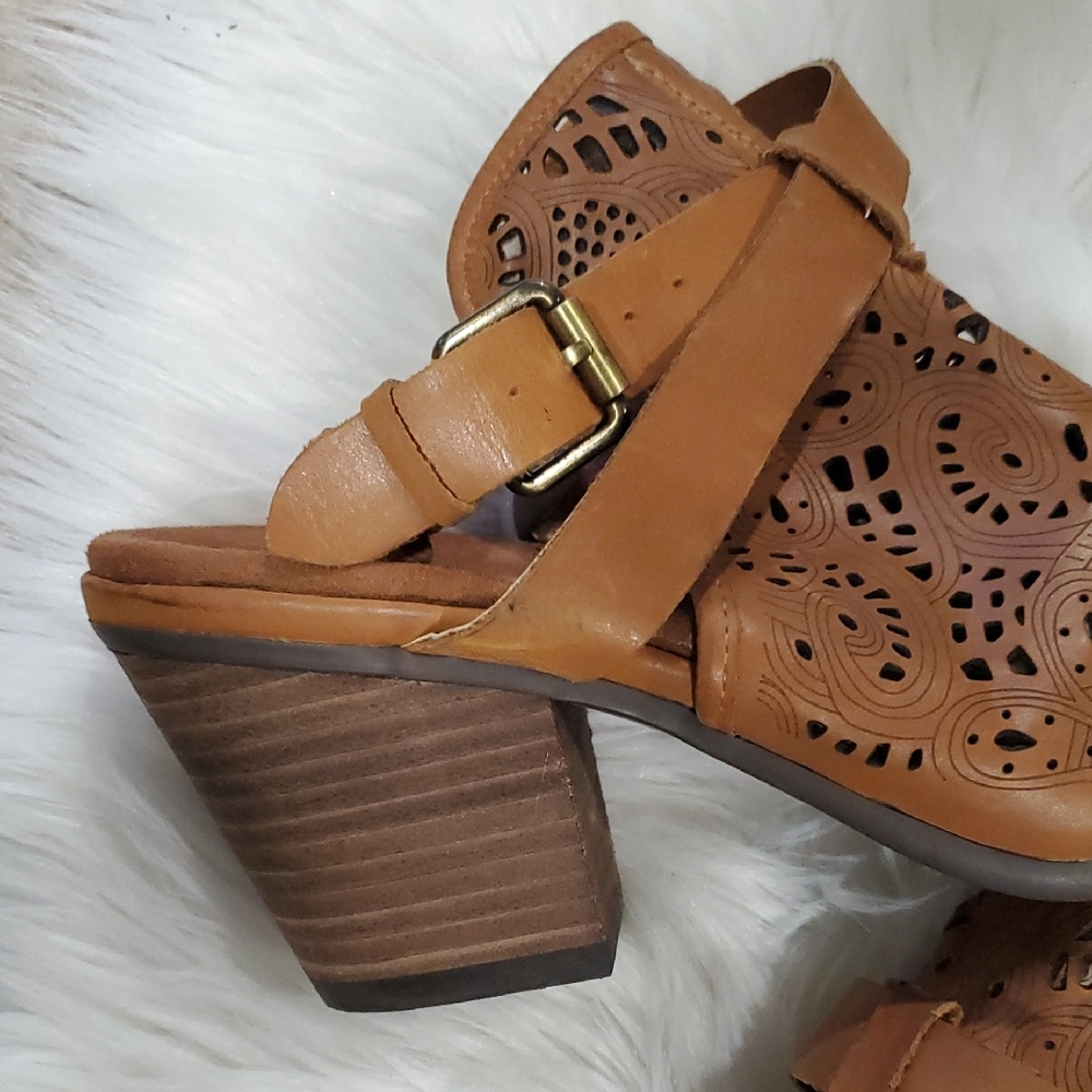 AEROSOLES Brown Laser-Cut Ankle Booties - Picture 5 of 14